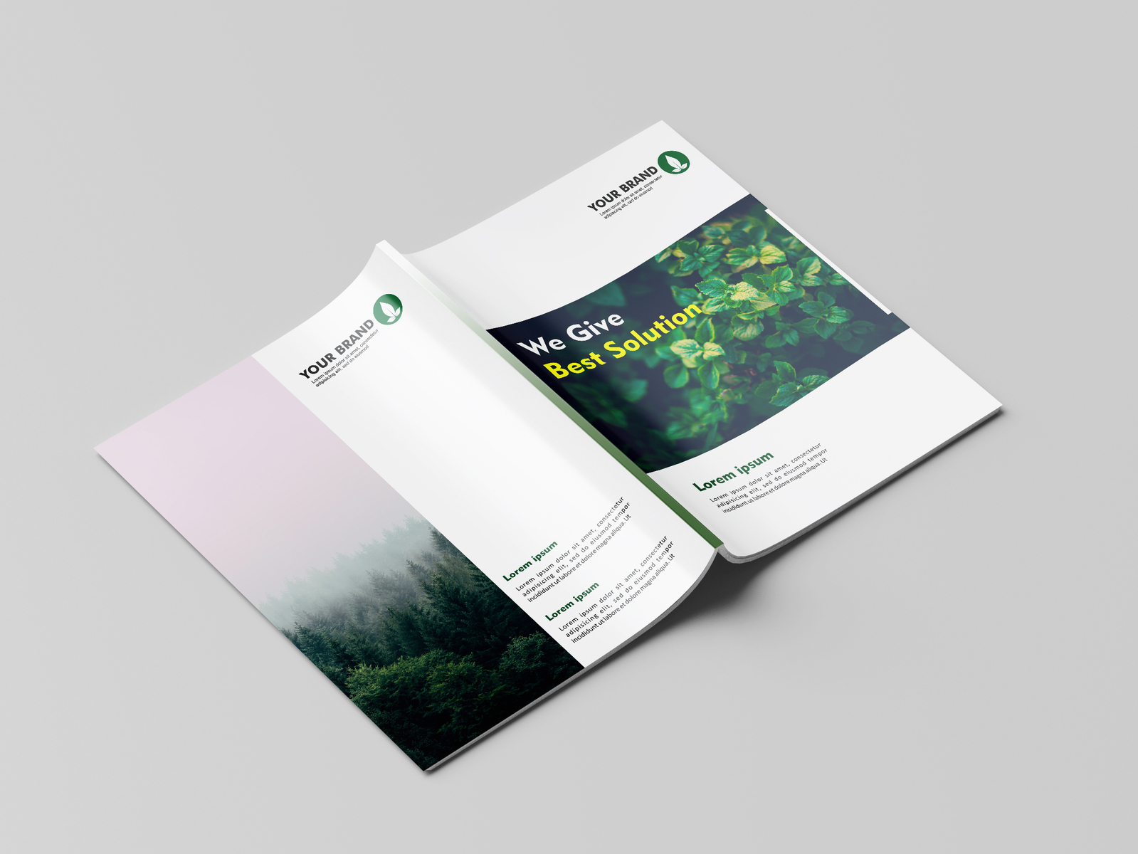 brochure template by Shark Studio on Dribbble