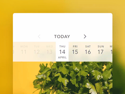 Calendar/Date Scroll interaction mobile ui ux