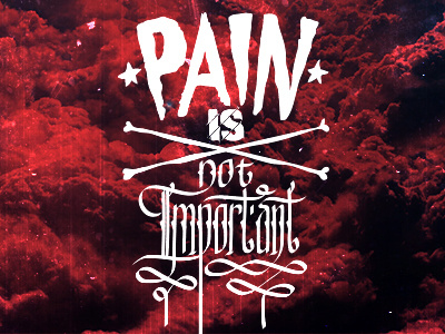 Pain is not important garments important pain shirts t shirt untamed