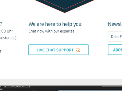 Live Chat Button with Icon