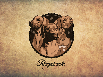Ridgebacks badge badge dog illustration logo ridgeback sticker vintage