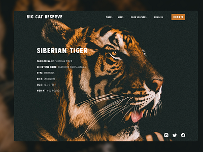 BCR Tigers -  Species Overview