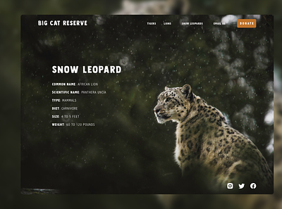 BCR Snow Leopards - Species Overview animals design desktop leopards snow leopard ui ui design ux ux design uxdesign web website