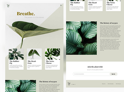 FernBreath design desktop landing page landing page design plants ui ui design ux ux design uxdesign web website