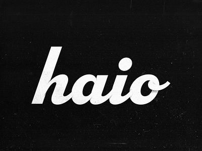 Haio Retro Typemark branding illustration logo retro type typography vector