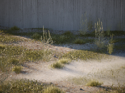 Grass test c4d cinema4d grass groundwork photorealism stones vray