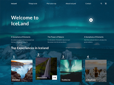 IceLand design ui ux web