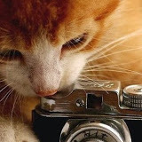 Крупенина Юлия