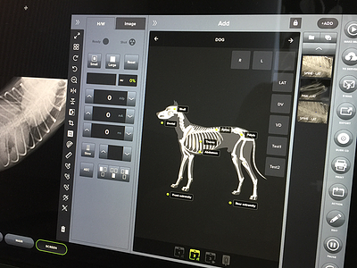 X-Ray Veterinary App interface old school veterinary x-ray