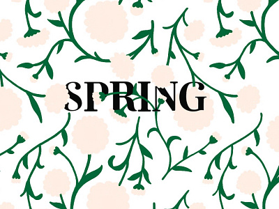 SPRING daisy floral pattern flowers illustration illustration spring