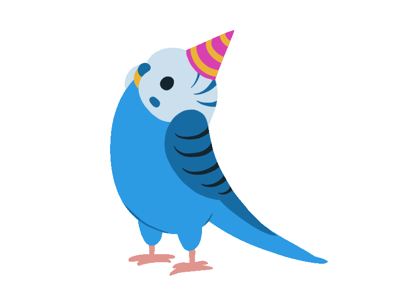 Party Parakeet