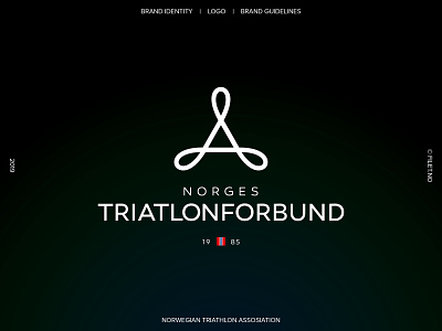 Norwegian Triathlon Assosiation brand designer branding branding agency design illustrator logo logodesign vector