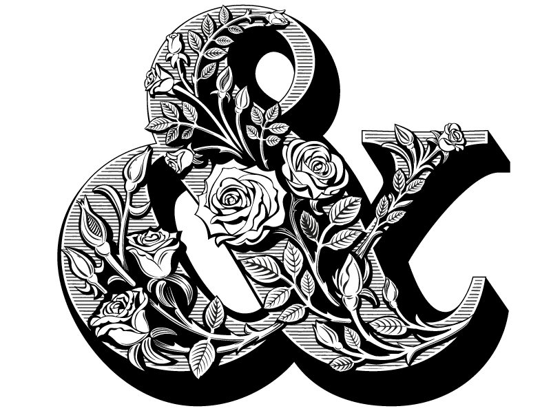 Ampersand with Roses branding illustrated type illustration lettering typography