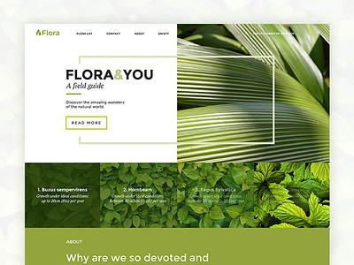 Flora&You challenge daily flora flowers green leaf leaves minimal ui website