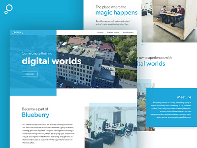 Blueberry career career company design flat position ui ux webdesign work