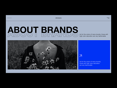 About Brands
