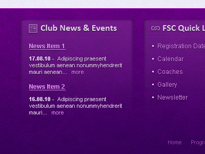 Skating Club Footer footer links purple texture web site