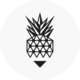 pineapple99d