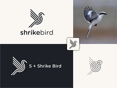 Shrike Bird animal art creative design geometric icon illustration line art nanas870 simple sketch vector