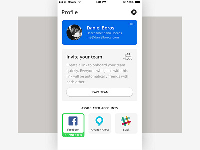 Simple Profile Page app ios iphone mobile profile sketch