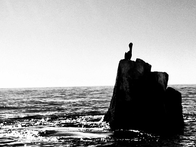 Cabo Pelicano black white bw cabo iphone mexico