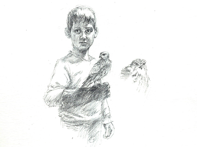 Young Falconer boy drawing falcon pencil sketch