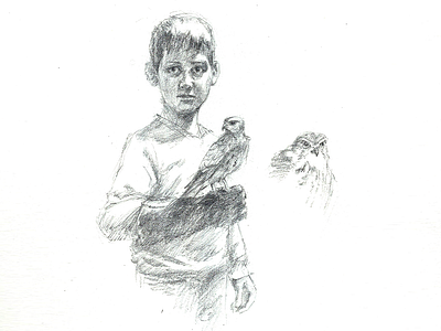 Young Falconer