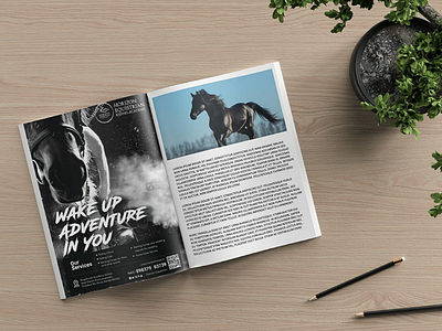 Magazine Ad design barnding branding materials digital marketing equestrian horses magazine ad design magazines