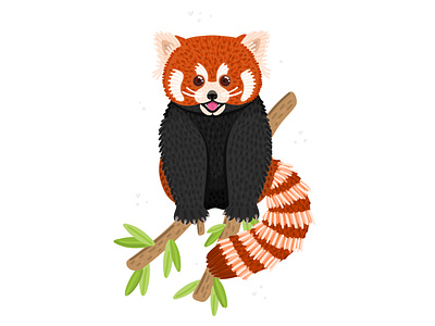 Red Panda adobe illustrator animal character cute design endangered species illustration panda red vector