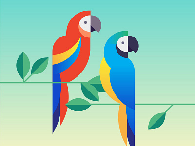 Macaws bird birds geometric illustration macaw macaws parrot parrots rainforest tropical vector