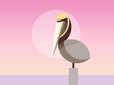 Brown Pelican beach geometric pelican summer vector