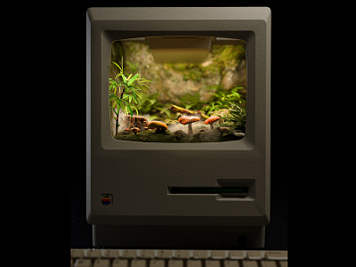 Mushroom Terrarium Mac 1984