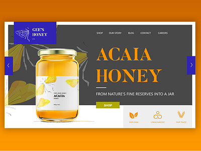 Acaia Web Slider branding design ecommerce design ui web website