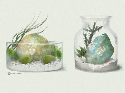 Terrarium - white bottle cactus decoration gem glass illustration plants quartz stones terrarium