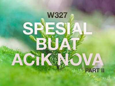 Special for Aunt Nova 2 flower nature part2 special typography