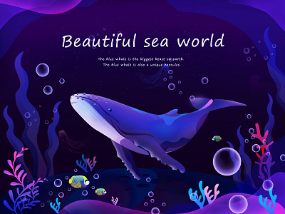 Blue Whale design illustration illustrator ui web website