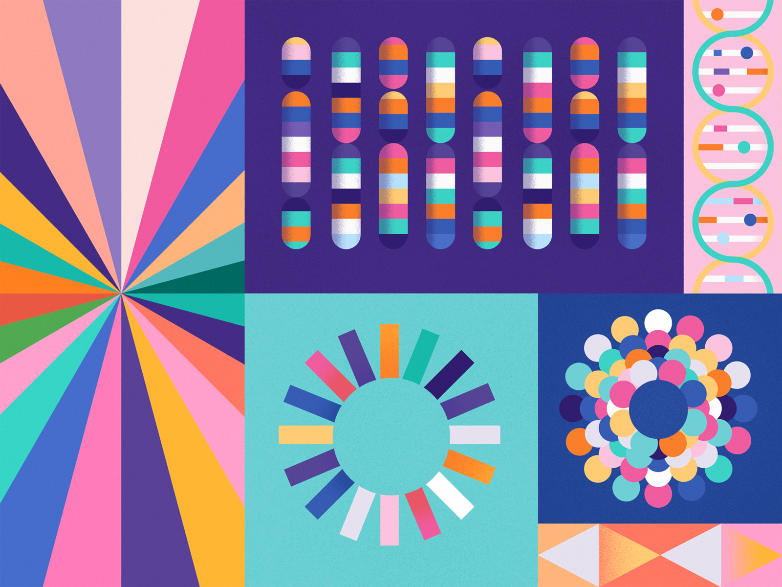 sage-colors-and-shapes-by-skinny-ships-on-dribbble