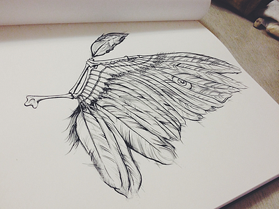 wings of birds anatomy bird birds drawing illustration ink paper pencil scientific sketchbook wings
