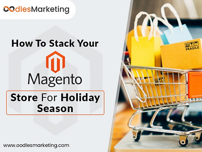 Magento Development Services | Equip Your Digital Storefront Wit