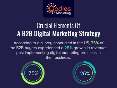 USA B2B Digital Marketing Strategy | Oodles Marketing b2b digital marketing strategy online marketing agency social media management company social media marketing agency