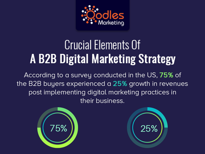 USA B2B Digital Marketing Strategy | Oodles Marketing