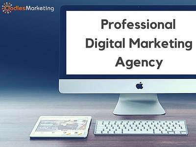 5 Reasons Why Startups Need A Professional Digital Marketing Age