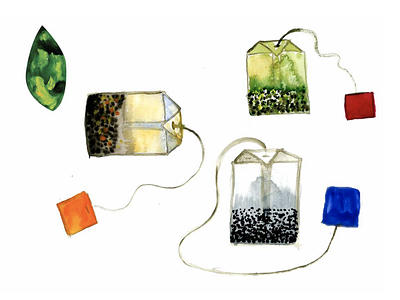 All About Tea allabouttea book illustration ilovetea teabags watercolor