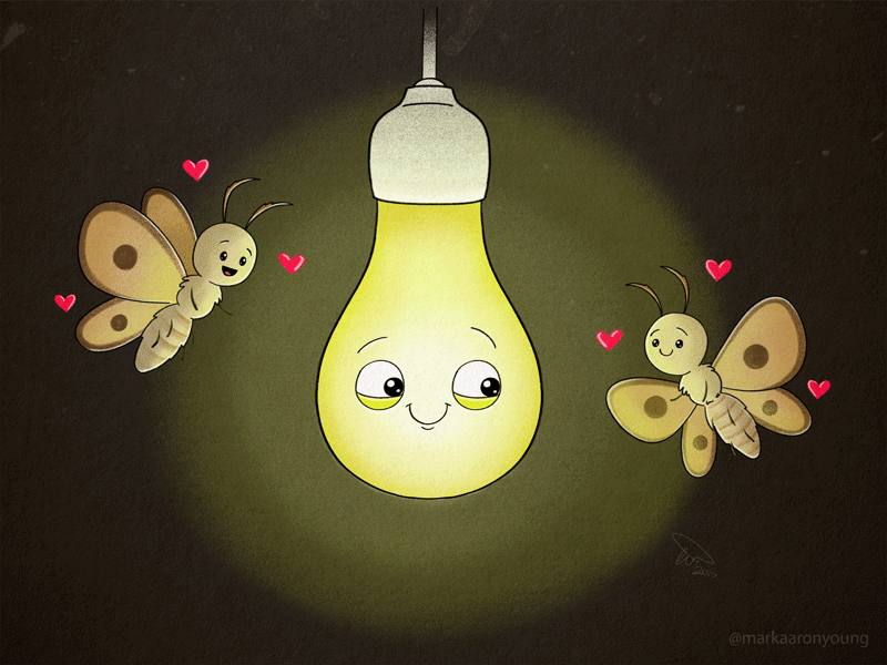Love The Light bulb cartoon cute illustration insect ipad pro love moth photoshop procreate yellow