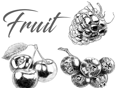 Fruit black white fruit illustration illustration art typography иллюстратор