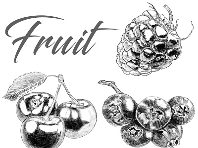 Fruit