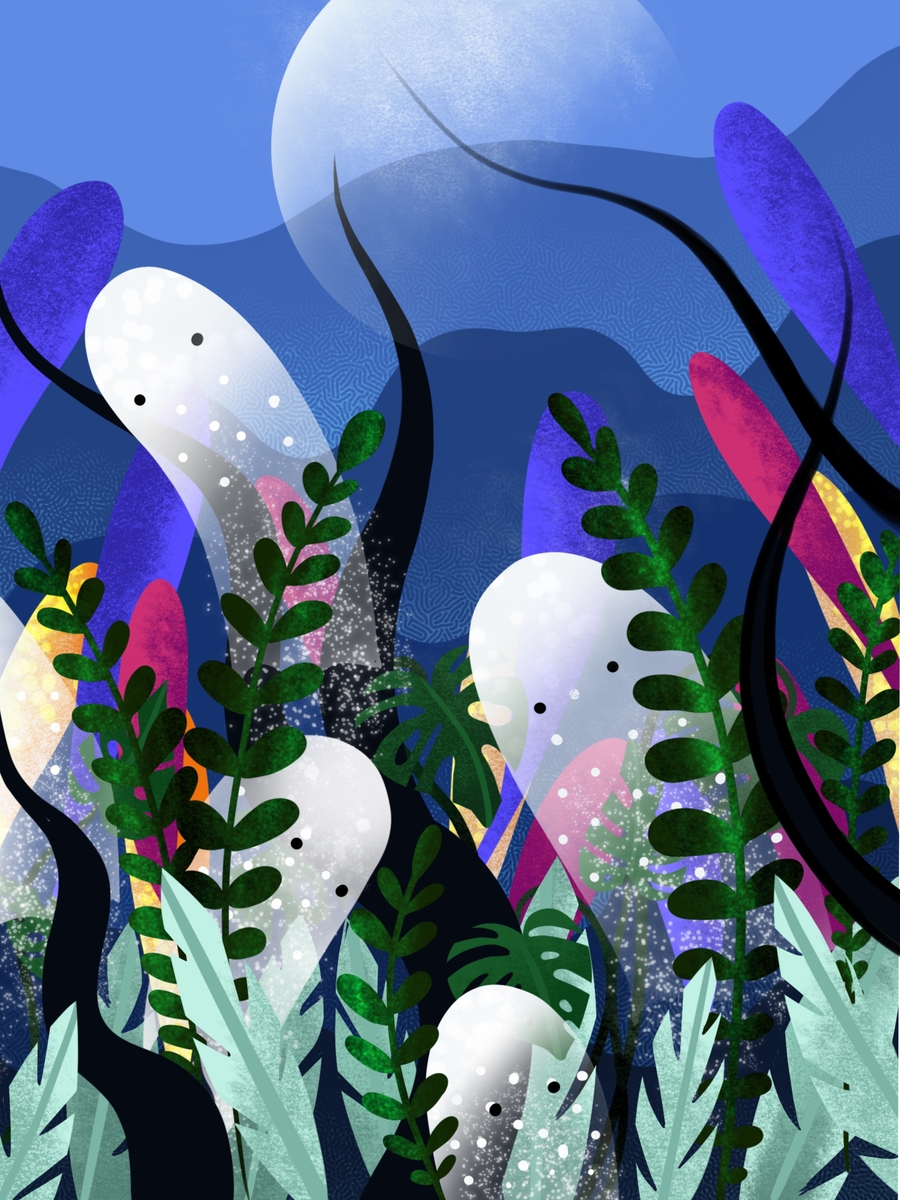 undersea world by Daria Khizhnyak on Dribbble