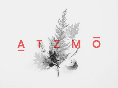 ATZMO branding design logo logo design naming