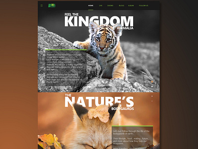 New UI design for Animal Blog