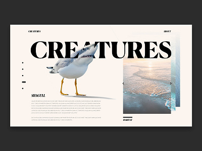 Concept UI | Creatures | @Shagull design photo manipulation ui web